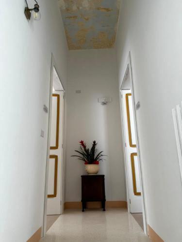 Le Stanze Di Gallolizio Gallipolli Exteriör bild